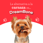 Premio-Masticable-para-Perro|Pequeño|Pollo_3